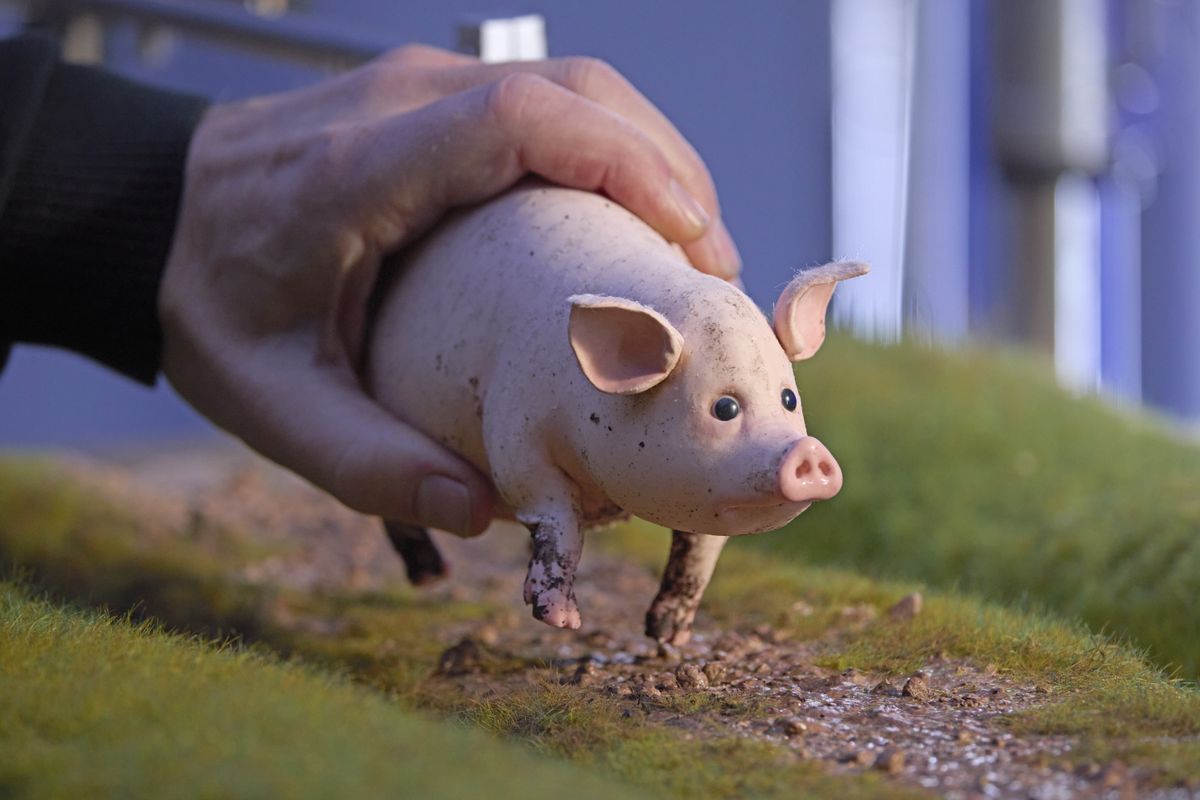 Behind the scenes images from the making of a stop motion animation for Humane World for Animals