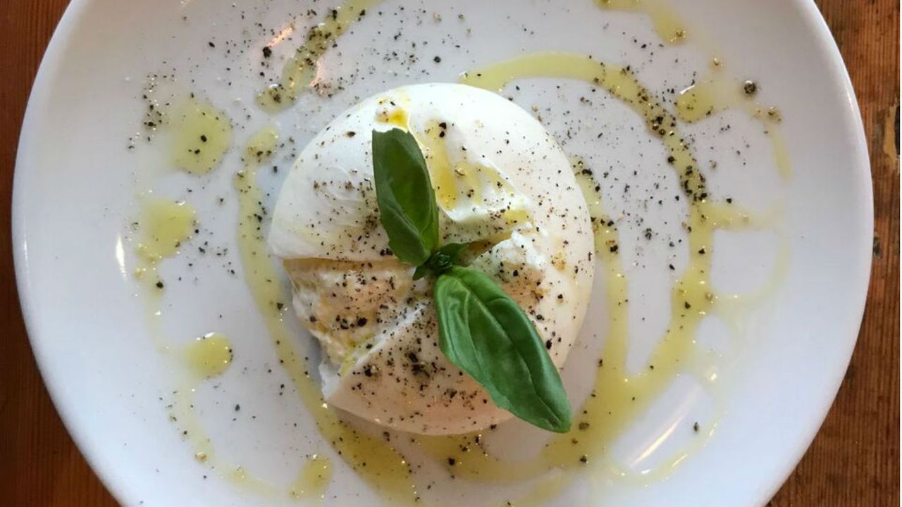 burrata_preview.jpg