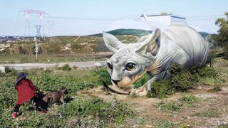 One of the best trompe l'oeil illusions, showing a giant sphinx cat 