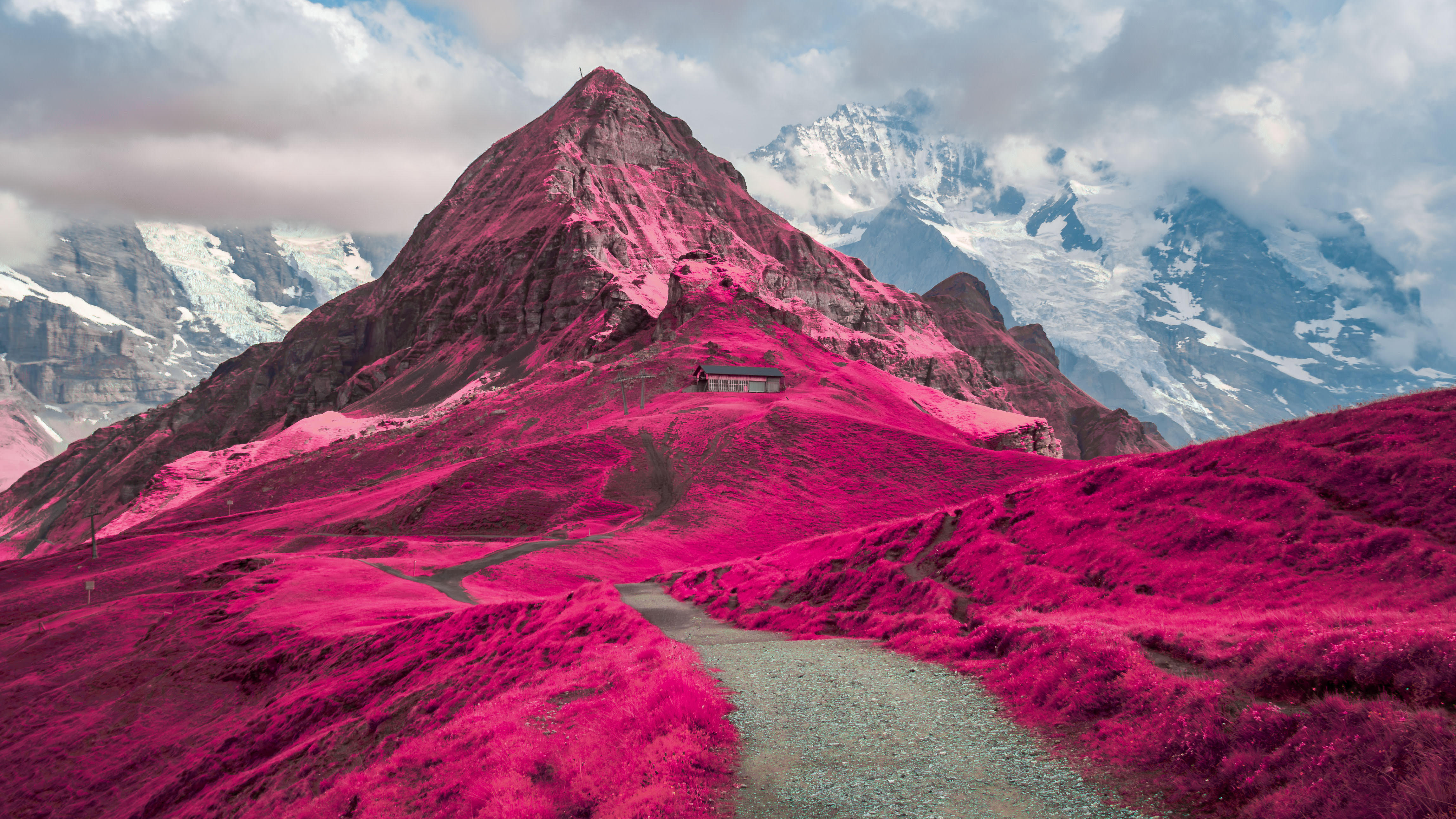 Hidden worlds brought to life in this stunning infrared photography competition