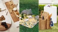 A selection of the best picnic essentials
