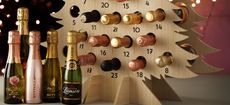 The Tispy Tree with Fizz Advent Calendar