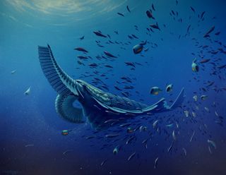 artists reconstruction of cambrian creature