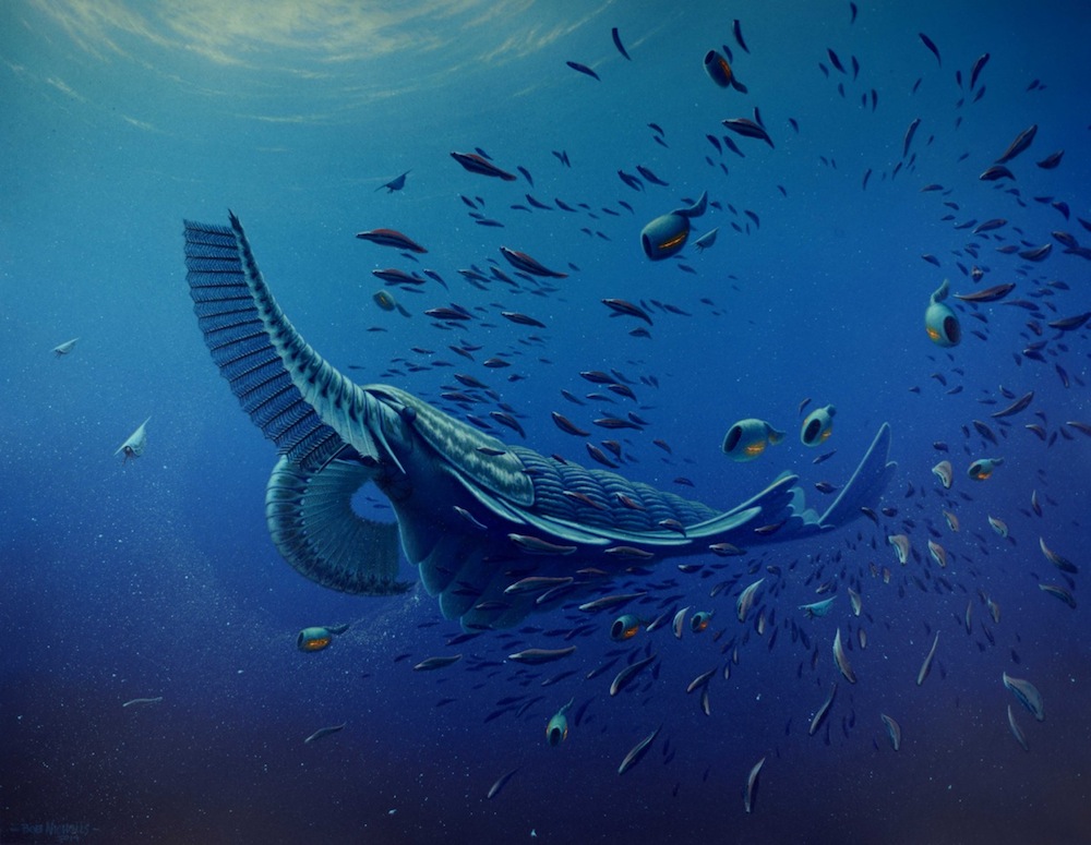 artists reconstruction of cambrian creature