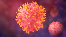An illustration shows spiky spherical cells against a purple background