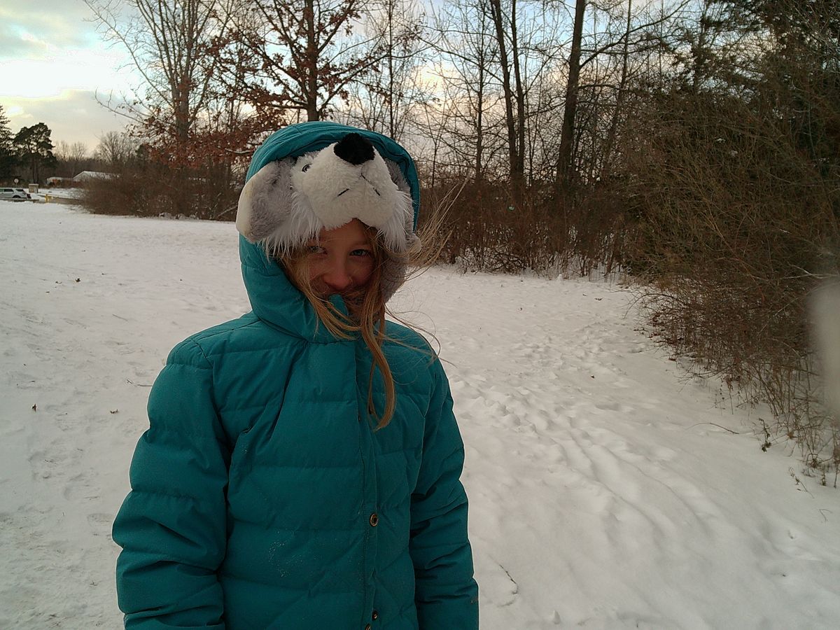 A sample image from the Camp Snap camera