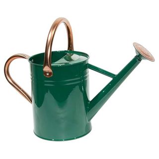 green metal outdoor watering can on white background