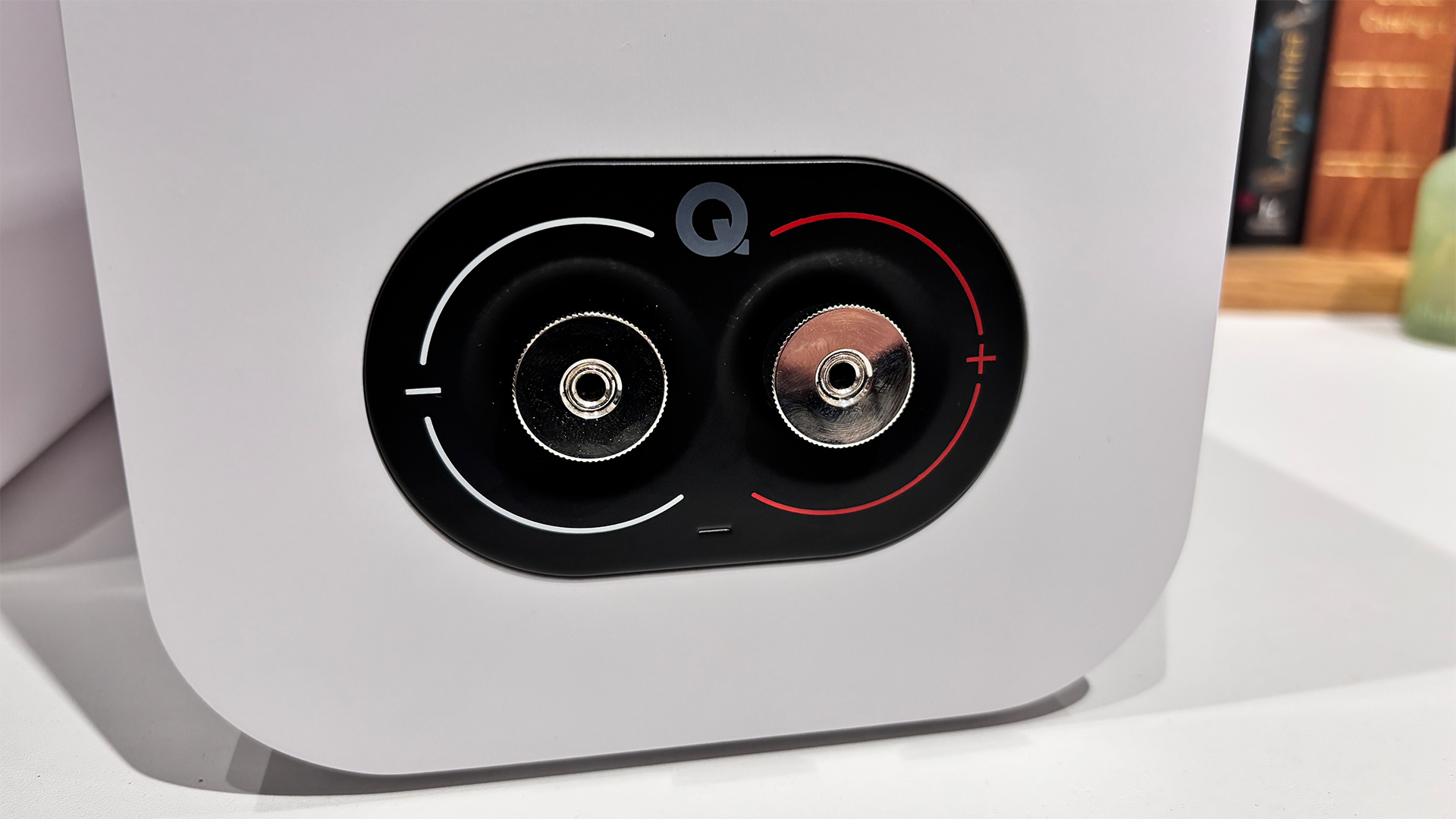 Q Acoustics 5010 standmount speakers close-up on rear binding posts