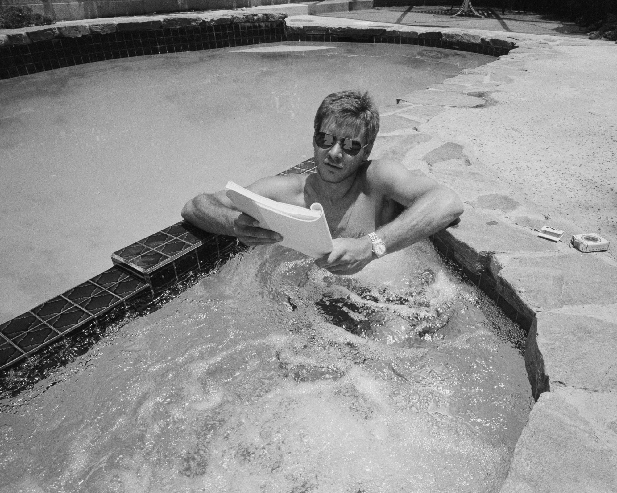 harrison ford in his pool