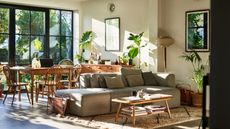 bright living room with plants and neutral color scheme