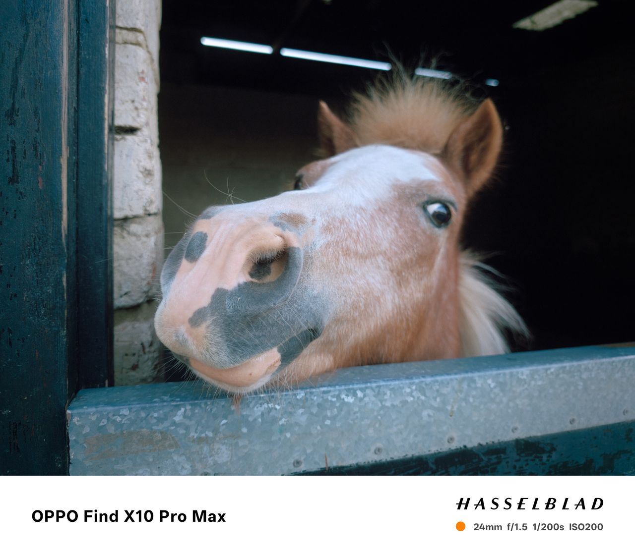 Sample photo taken on the Oppo Find X10 Pro Max