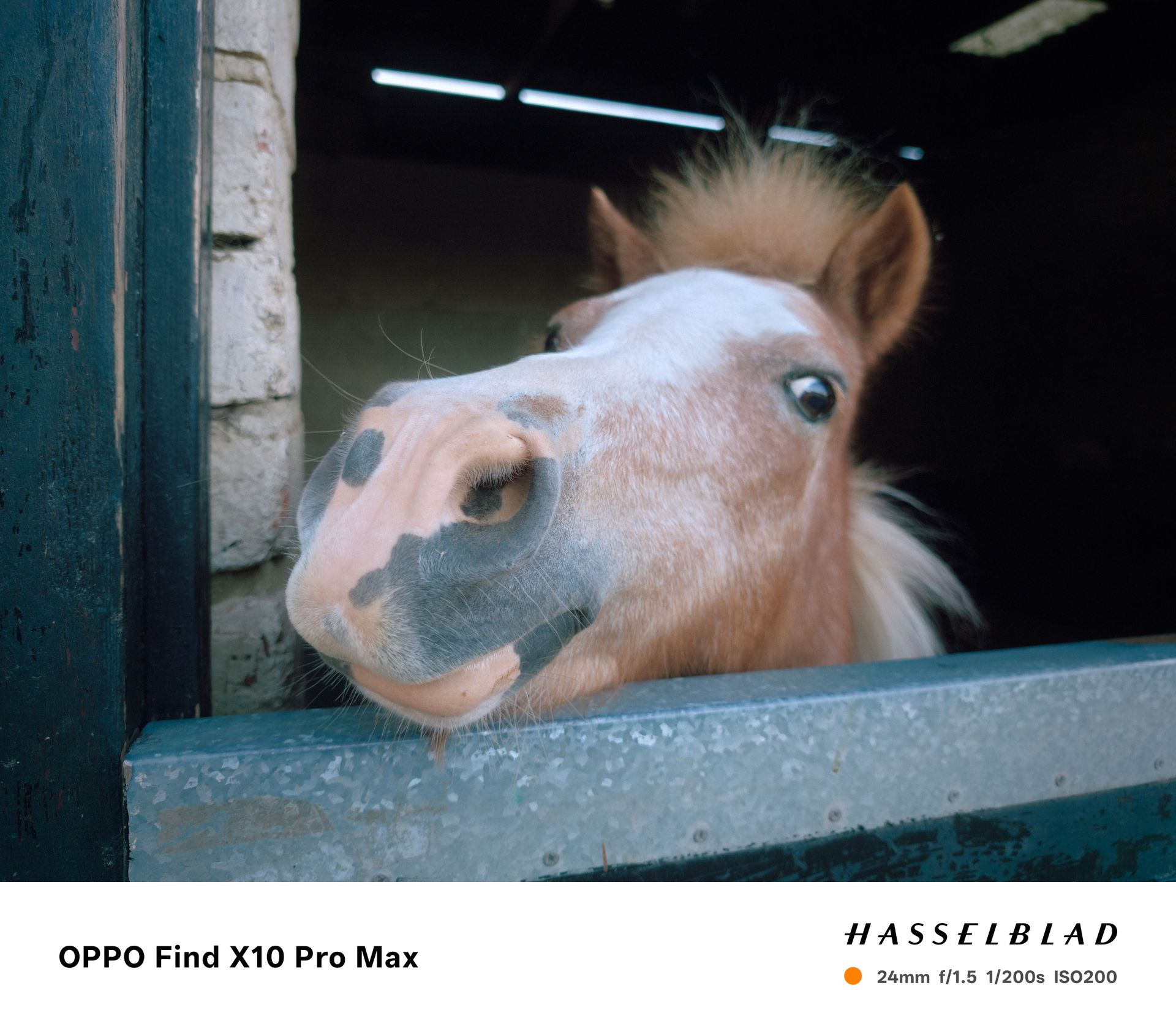Sample photo taken on the Oppo Find X10 Pro Max