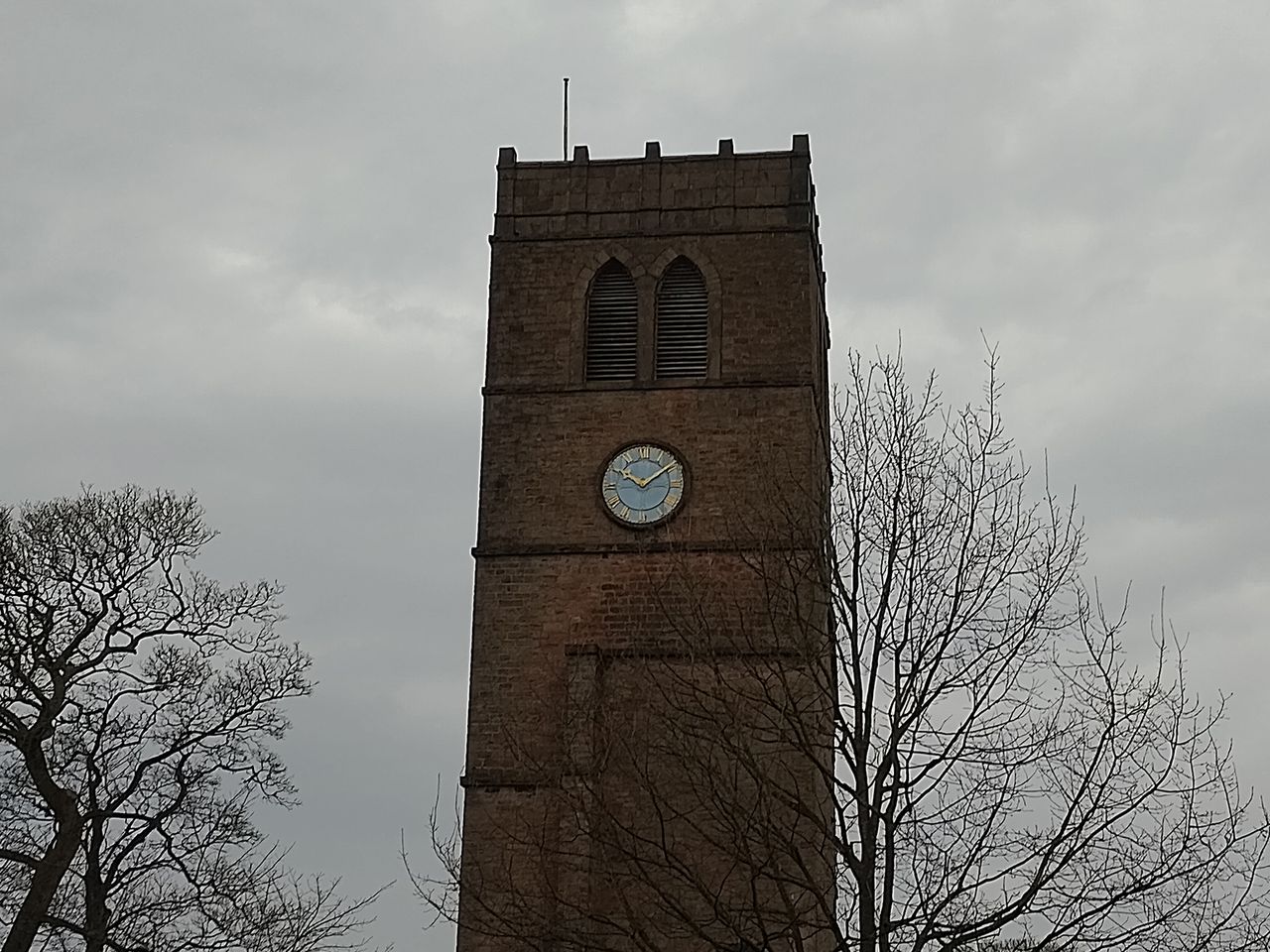 Nokia G21 camera sample