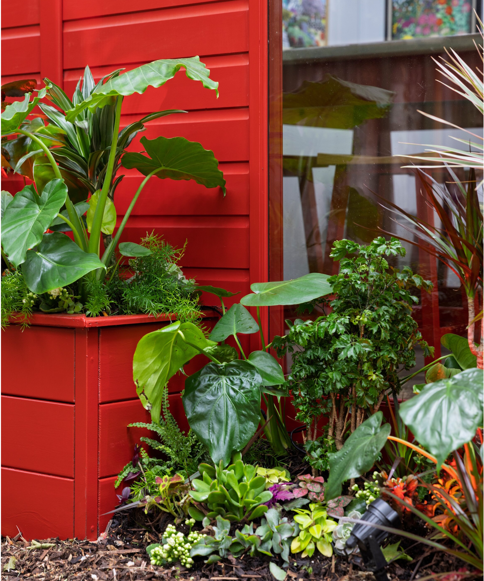 2025 Chelsea Flower Show Houseplant Studios