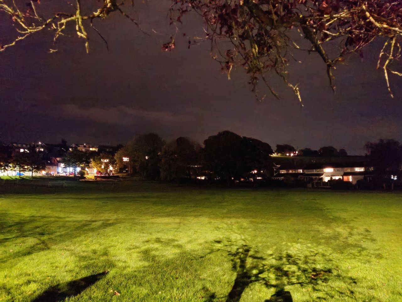 OnePlus 8T camera sample