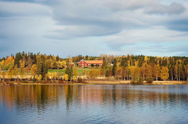 F&amp;auml;viken Magasinet restaurant