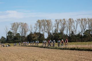 Picture by Alex Whitehead/SWpix.com - 06/10/2024 - Cycling - 2024 UCI Gravel World Championships, Halle-Leuven, Belgium - Men Elite Race - The Bunch