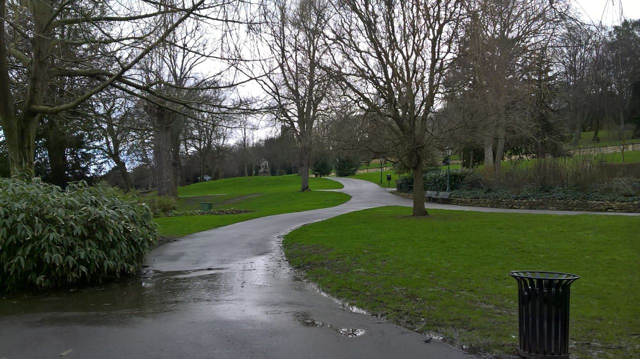 Lumia 550 camera sample