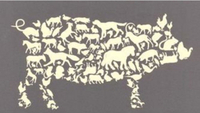 Napoleon (Animal Farm)