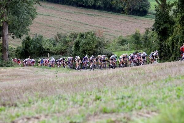 The bunch climbs Kruishoeveweg for the second time