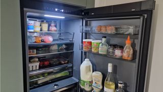 Hisense RB5K330GSFC in a green modern kitchen