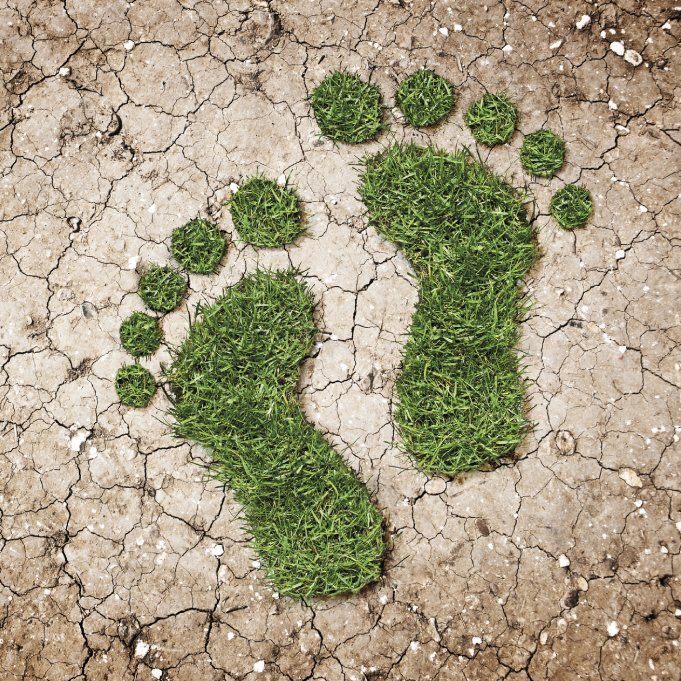 Gardening Carbon Footprint Offset – How Much Is Enough?