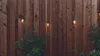 Brightech Ambience Pro
