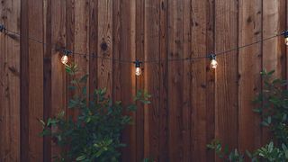 Brightech Ambience Pro - Waterproof, Solar-powered Outdoor String Lights