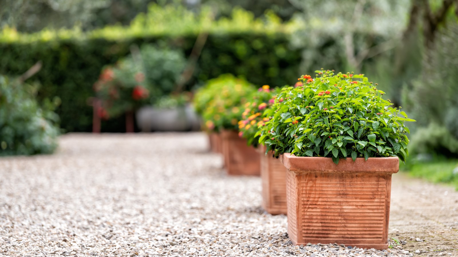 Lightweight Drainage System and Filler for Pots Helps Ensure