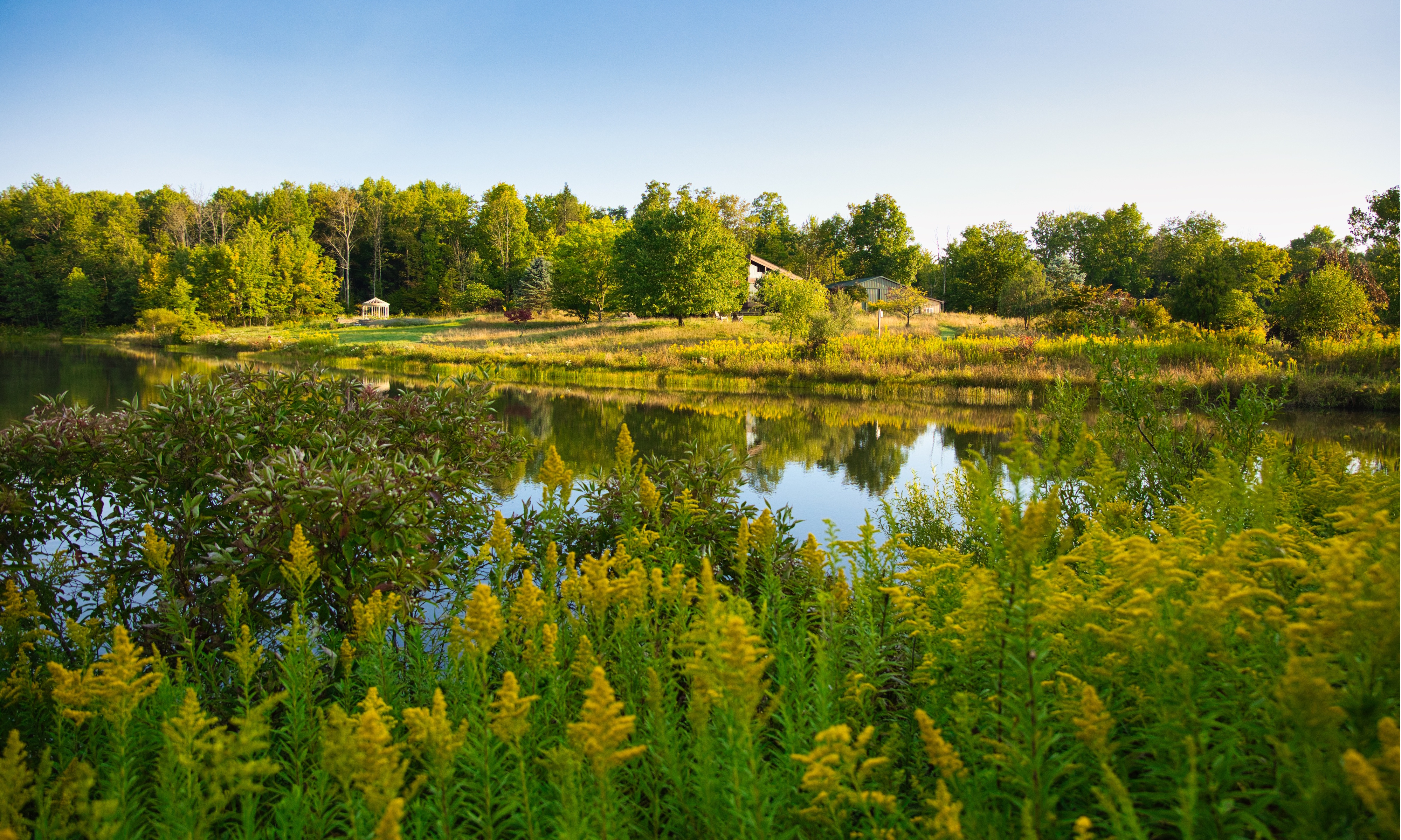 Flock Finger Lakes half lake