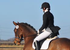 Removing your throatlash can help make a horse's neck look longer