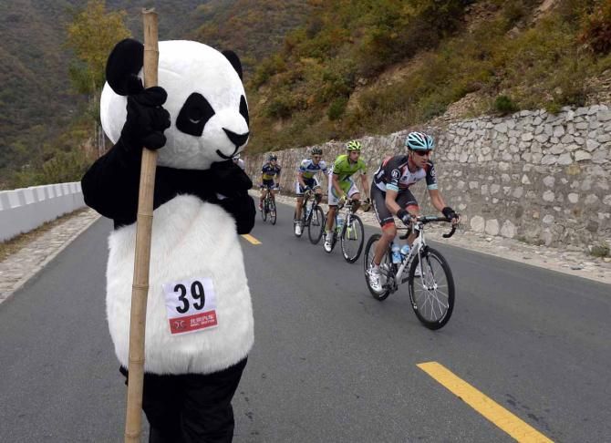 The Tour of Beijing panda keeps watch over the peloton on the road to Qiandiajian on stage 3.