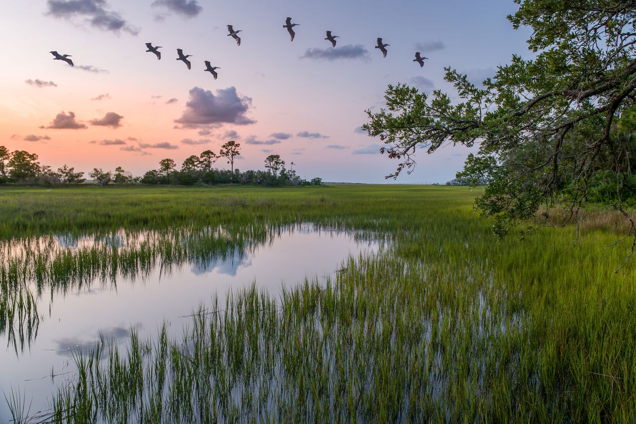Eight Things You Must Know About Retiring to the Carolinas | Kiplinger