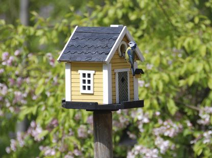 Little Yellow Birdhouse In Garden