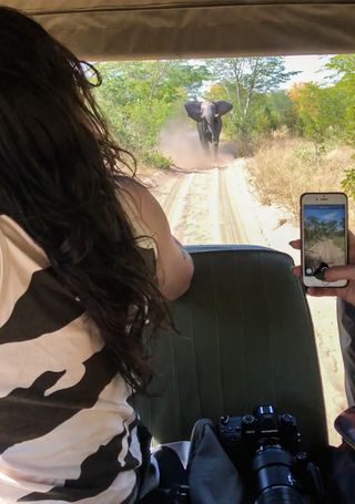 An elephant chasing down our truck during a photo safari