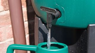 Water butt filling up a watering can in a garden
