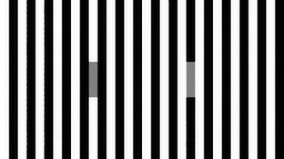 Black and white vertical stripes with 2 grey bars placed in between opposite colored lines. The small bars appear a different color to one another but are actually the same shade of gray