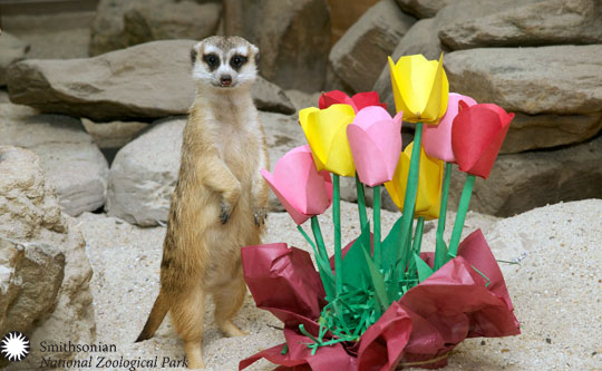 easter at the zoo