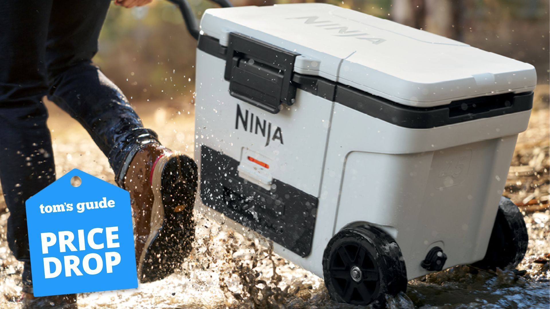 Ninja Cooler Deal