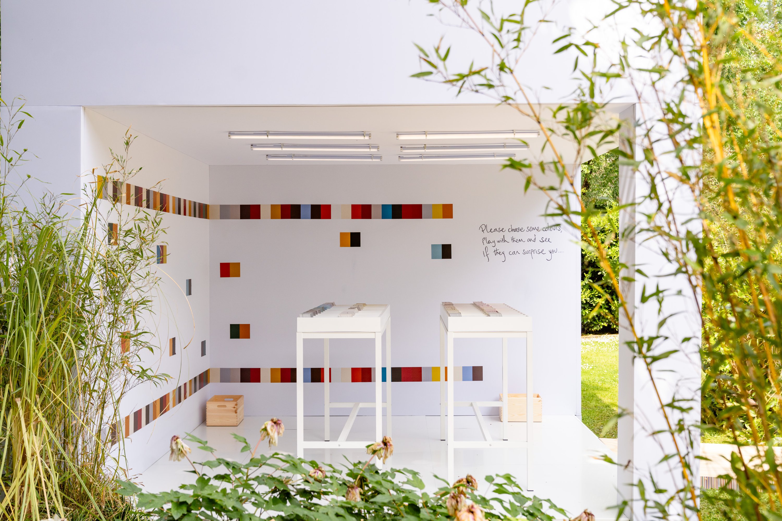 Mini: A Garden of Curiosity with Paul Smith