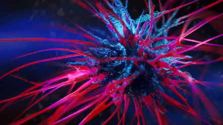 A close up of a spiky blue and pink cell against a blue background.