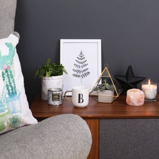 selection of items, including a terrarium on a coffee table
