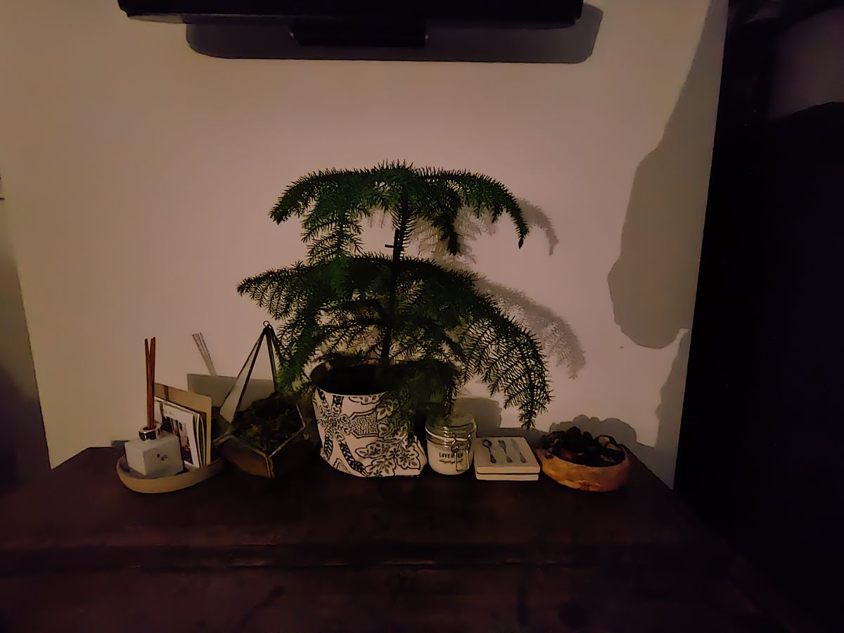 Motorola Razr 2022 camera sample