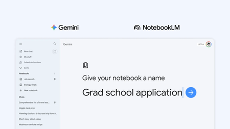 Gemini notebooks