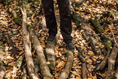 Legs of an unidentifiable senior woman in black pants and sports shoes carefully walking on tree branches lying in dirt, covered with moss and leaves, while walking in the forest on a sunny afternoon. It might be a heffalump trap.
