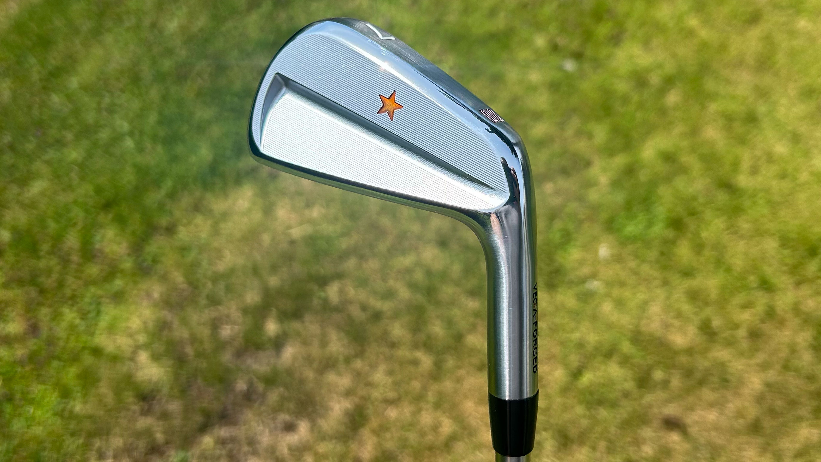 Photo of the Vega SS Irons