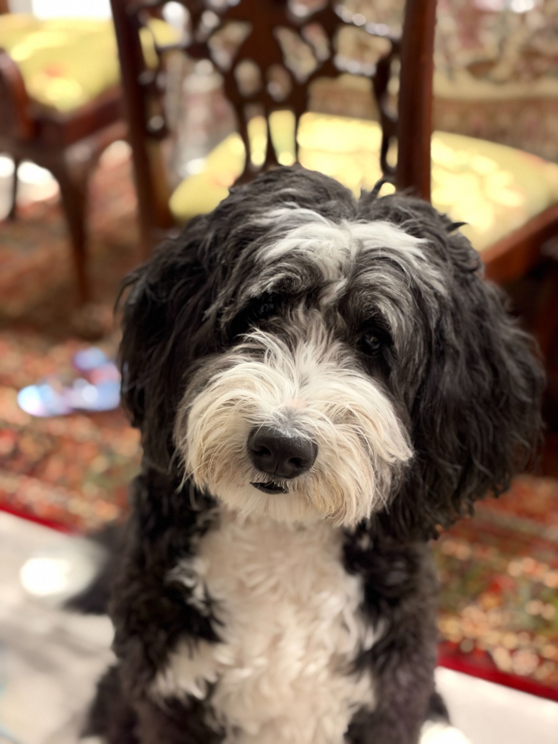 Apple iPhone 18 Pro and 18 Pro Max Camera Test