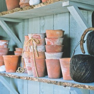 Terracotta plant pots stacked on blue wooden shelf next to garden string