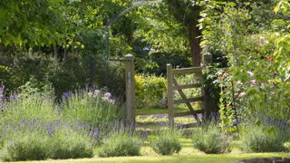 Garden fence with a gate in a country cottage garden with plenty of flowers and trees, with the sun shining