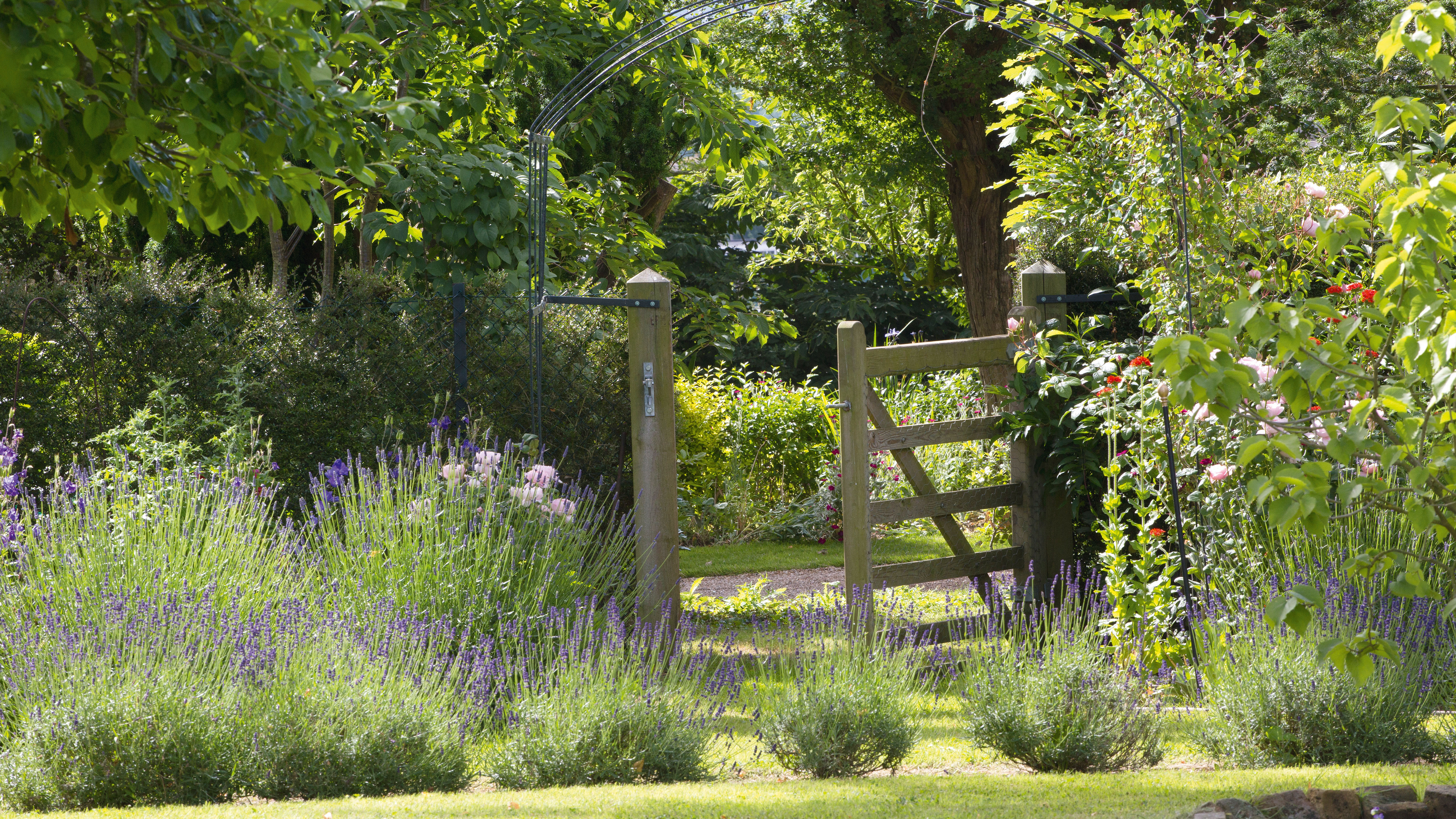 Garden fence in a country cottage garden
